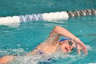 Swimming vs Babson  Wheaton College Swimming vs Babson College. - Photo By: KEITH NORDSTROM : Wheaton, Swimming, Babson